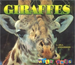 Bertrand.pt - Giraffes Wild Ones