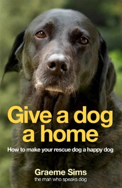 Bertrand.pt - Give A Dog A Home