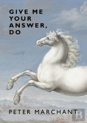 Give Me Your Answer, Do