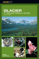 Glacier