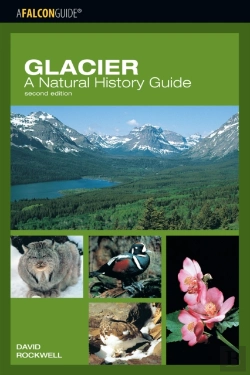 Bertrand.pt - Glacier