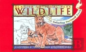Glacier National Park Wildlife
