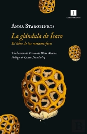 Glandula De Icaro,La