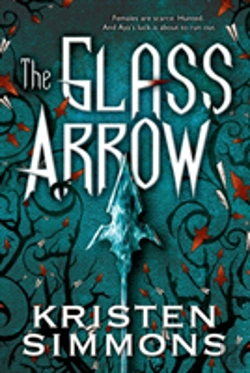 Bertrand.pt - Glass Arrow