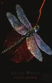 Glass Wings