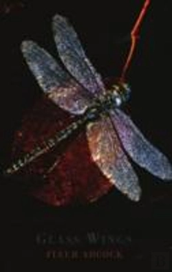 Bertrand.pt - Glass Wings