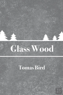 Bertrand.pt - Glass Wood