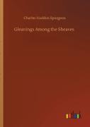Gleanings Among The Sheaves