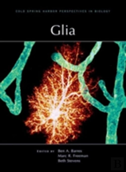 Bertrand.pt - Glia