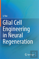 Glial Cell Engineering In Neural Regeneration