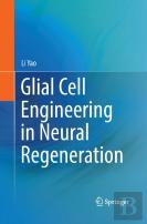 Glial Cell Engineering In Neural Regeneration