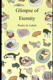 Glimpse Of Eternity