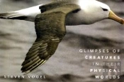 Glimpses Of Creatures In Their Physical Worlds