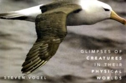 Bertrand.pt - Glimpses Of Creatures In Their Physical Worlds