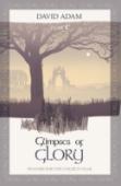 Glimpses Of Glory