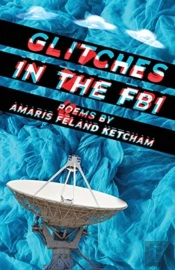 Glitches In The Fbi