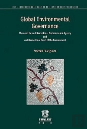 Global Environmental Governance