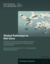 Global Pathways To Net-Zero