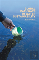 Global Pathways To Water Sustainability
