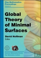 Global Theory Of Minimal Surfaces