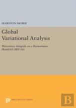 Global Variational Analysis