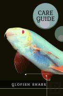 Glofish Shark