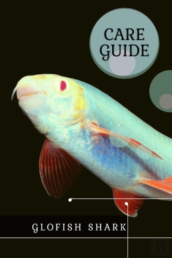 Bertrand.pt - Glofish Shark