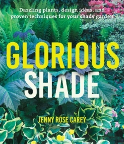 Bertrand.pt - Glorious Shade