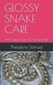 Glossy Snake Care