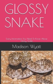 Glossy Snake
