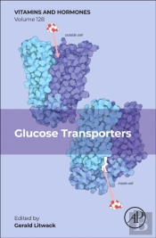 Glucose Transporters