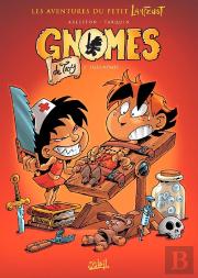 Gnomes De Troy Tome 2 : Sales Mômes