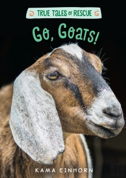 Bertrand.pt - Go, Goats!