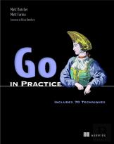 Go In Practice