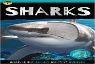 Go Wild Shark