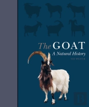 Goat