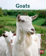 Goats