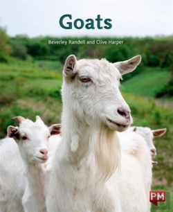 Bertrand.pt - Goats