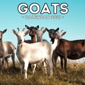 Goats Calendar 2021