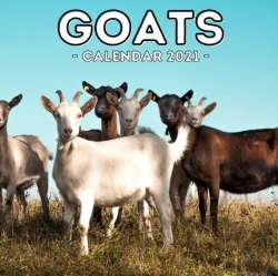 Bertrand.pt - Goats Calendar 2021