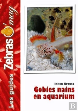 Bertrand.pt - Gobies Nains En Aquarium