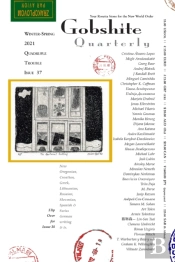 Gobshite Quarterly 37/38, Quadriple Trouble