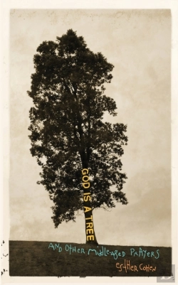 Bertrand.pt - God Is A Tree