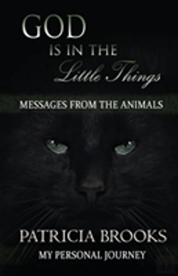 Bertrand.pt - God Is In The Little Things
