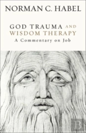 God Trauma And Wisdom Therapy