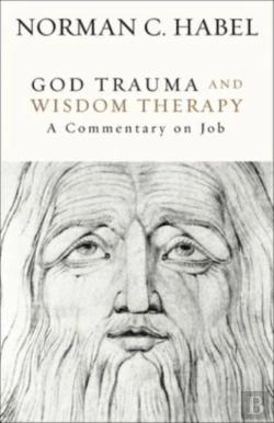 Bertrand.pt - God Trauma And Wisdom Therapy