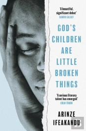 God'S Children Are Little Broken Things
