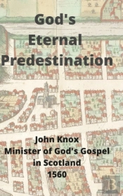 God'S Eternal Predestination