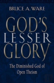God'S Lesser Glory