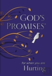 God'S Promises For When You Are Hurting